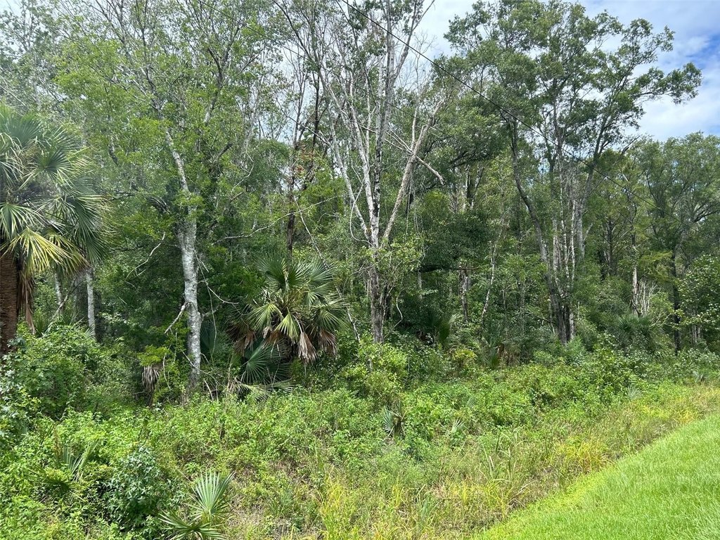Picture 4