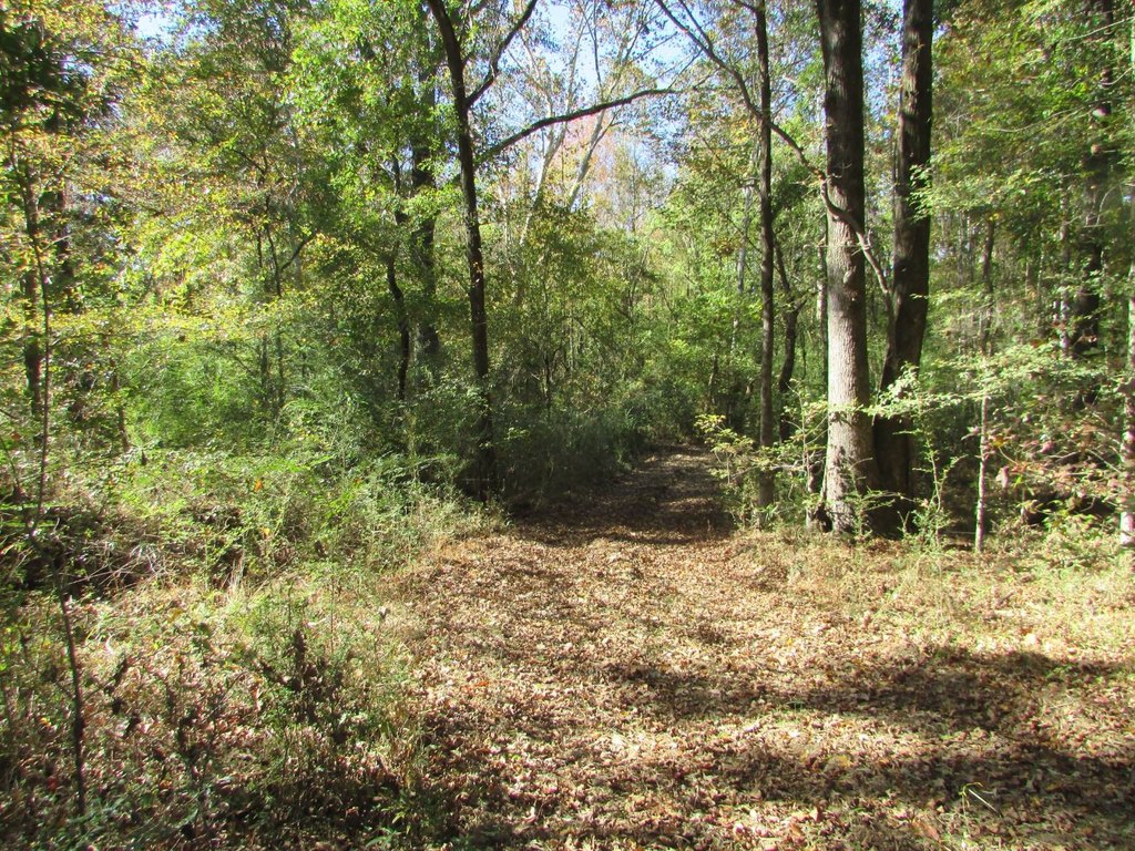 Picture 7