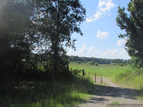Open Pasture Land with Lake Work