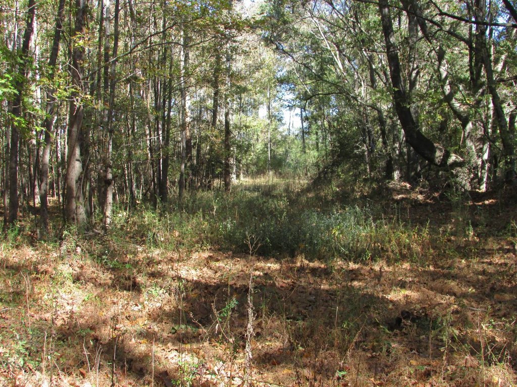 Picture 14