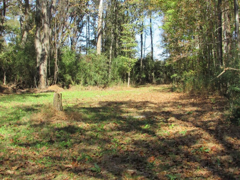 Picture 13