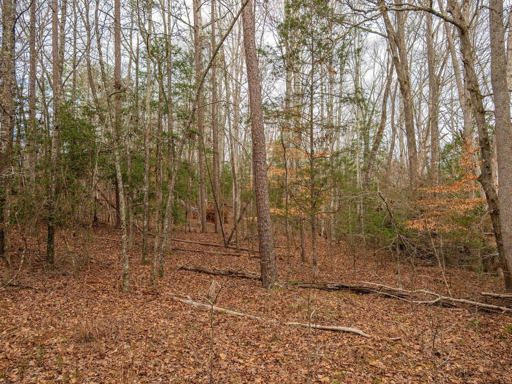 Picture 41