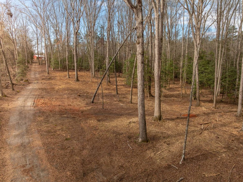 Picture 31