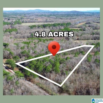 Unrestricted Land in Vincent, Alabama