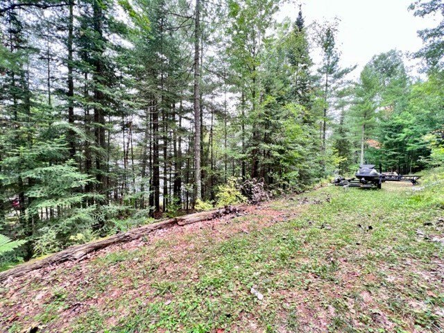 Wooded Lot Near Hayward, WI
