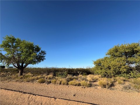 Commercial Lot in Valle Vista