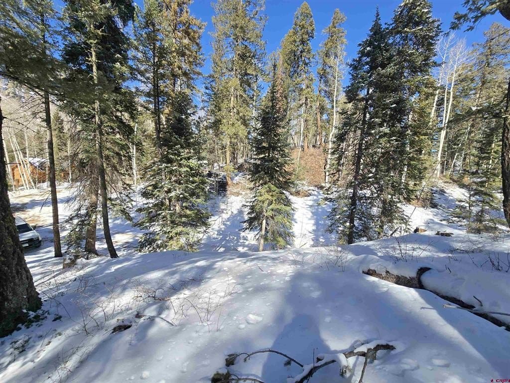 Picture 20
