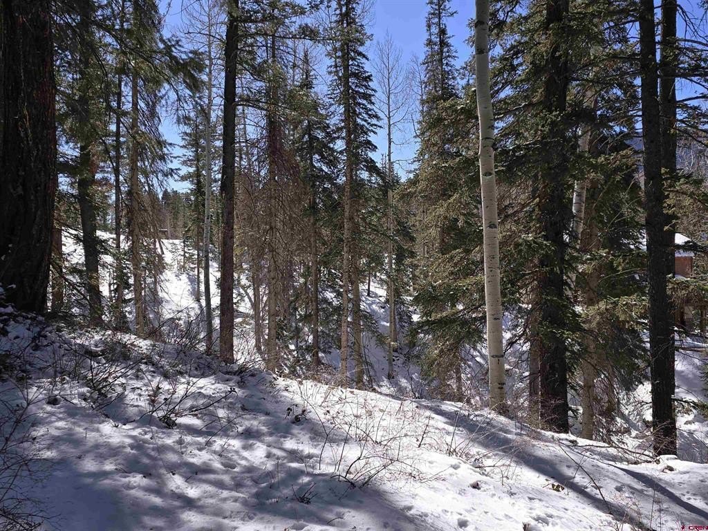 Picture 16