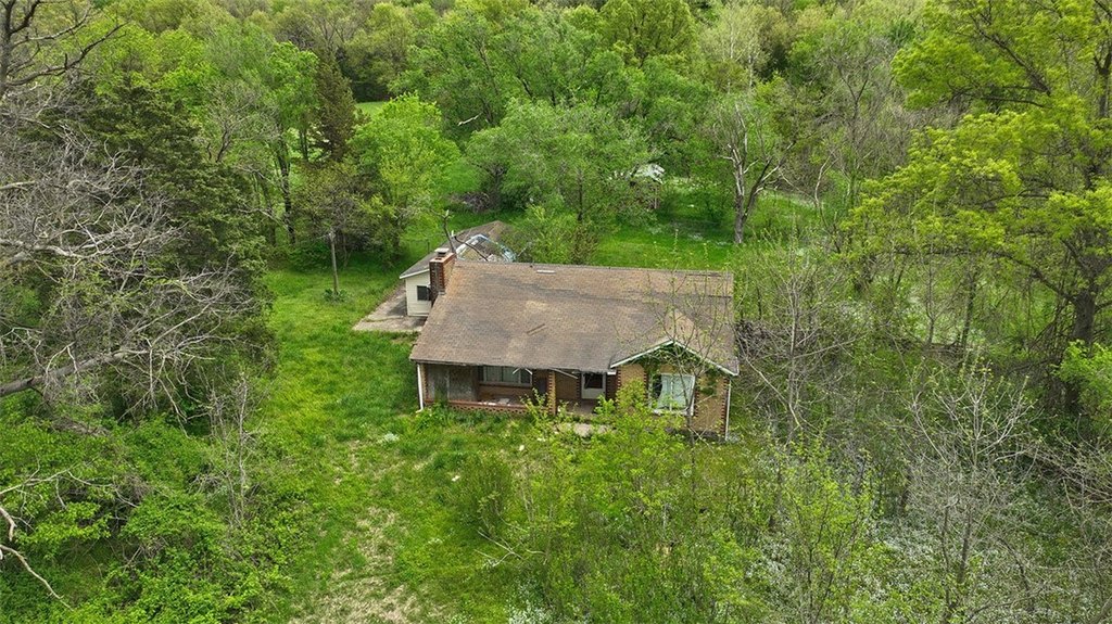 Picture 9