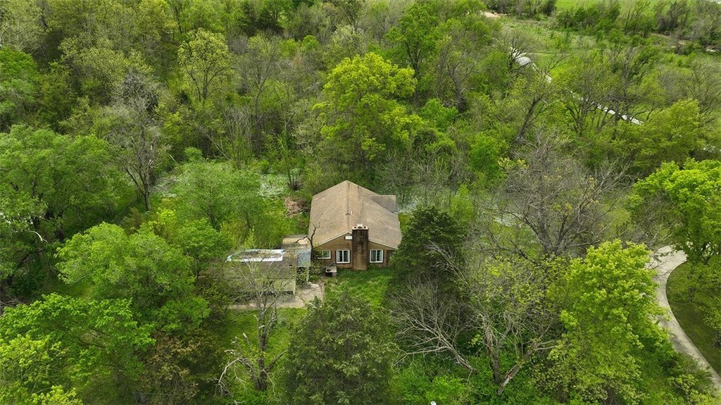 Picture 8