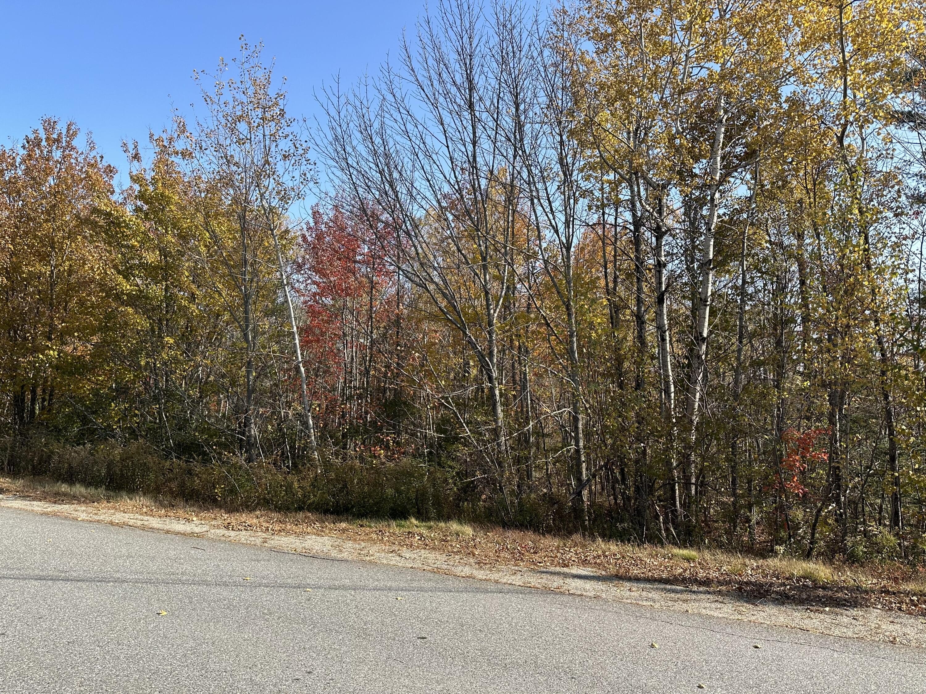 Ellsworth Land For Sale