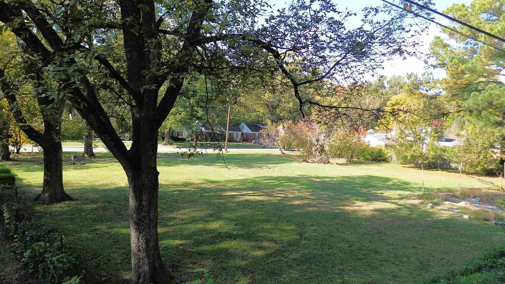 Picture 3