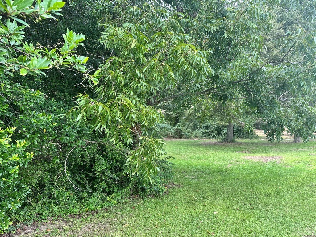 Picture 4