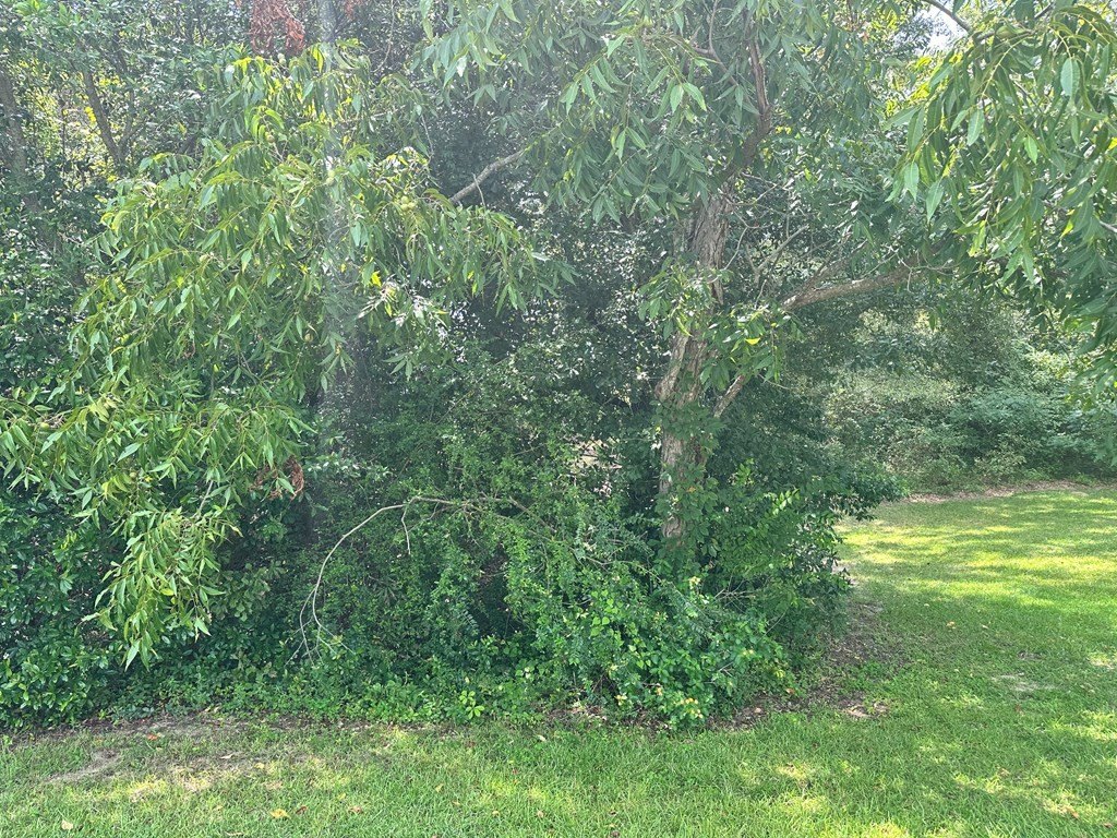 Picture 3