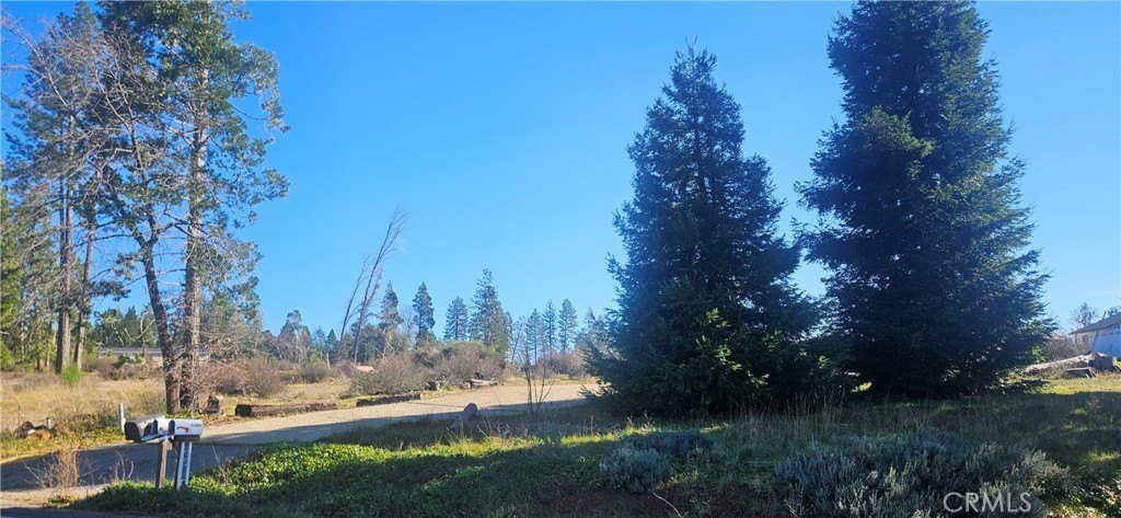 Magalia Land Lot with Potential
