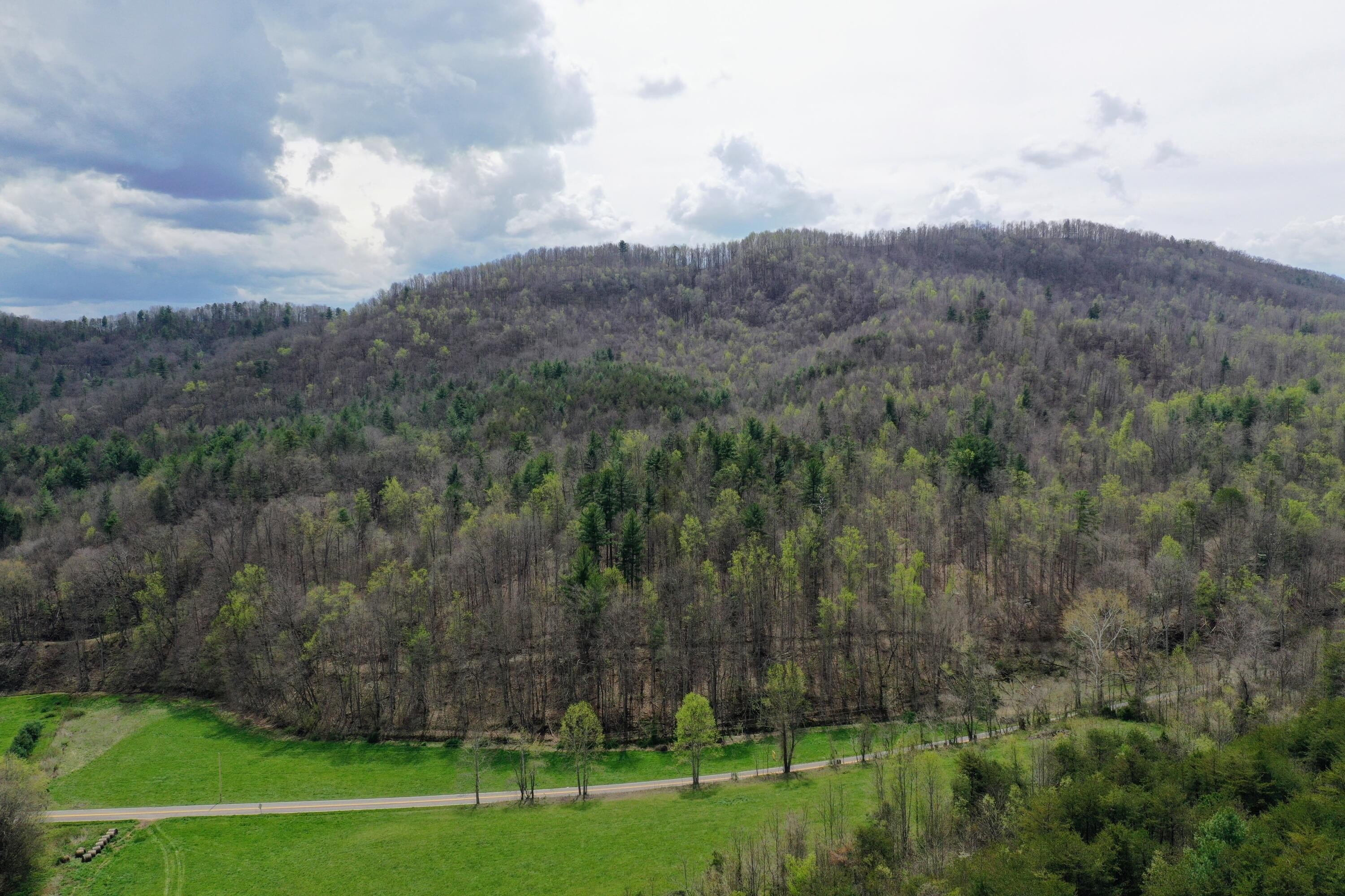 Greeneville Land Near National Forest