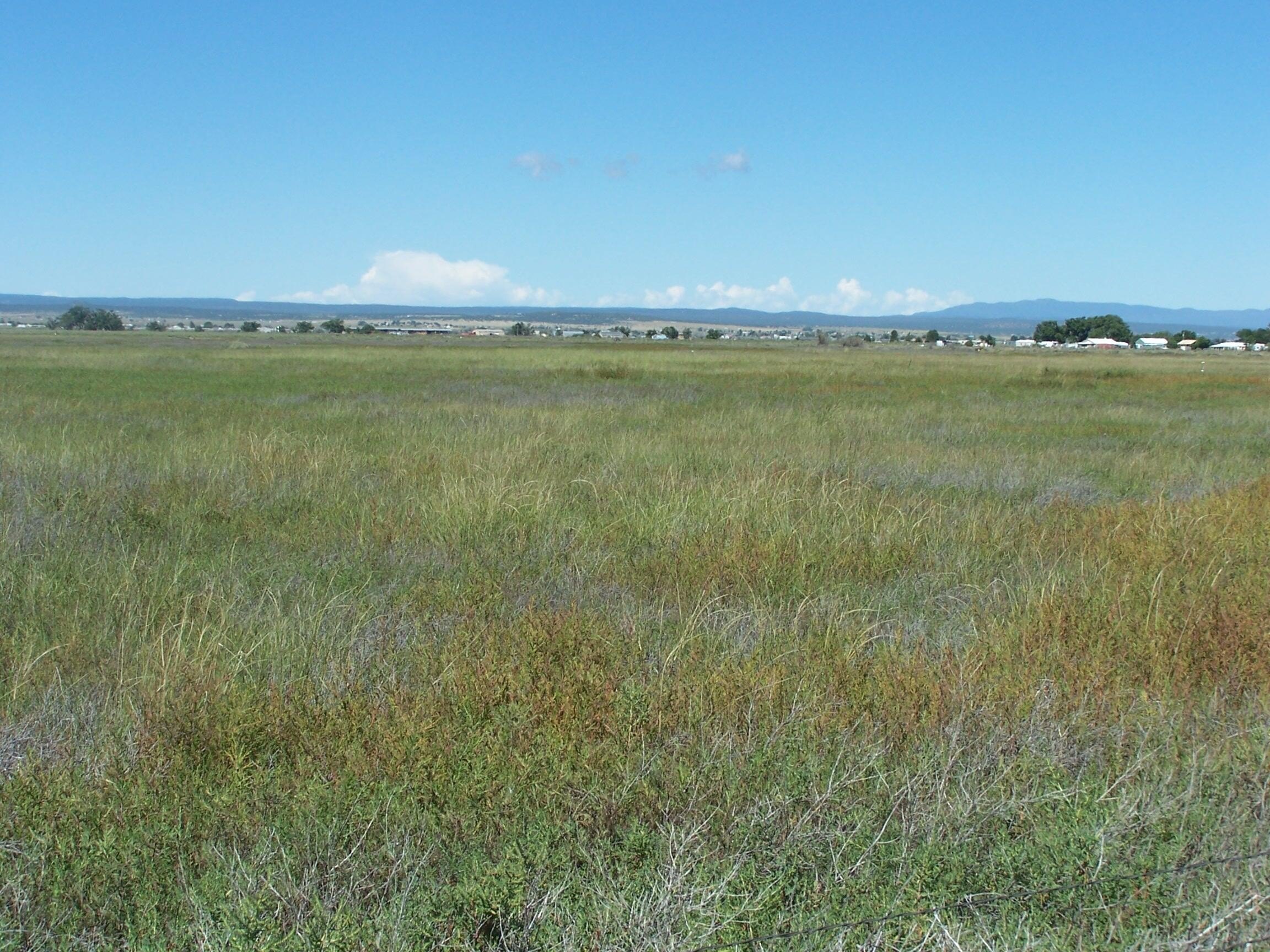 60 Acres Land with Water