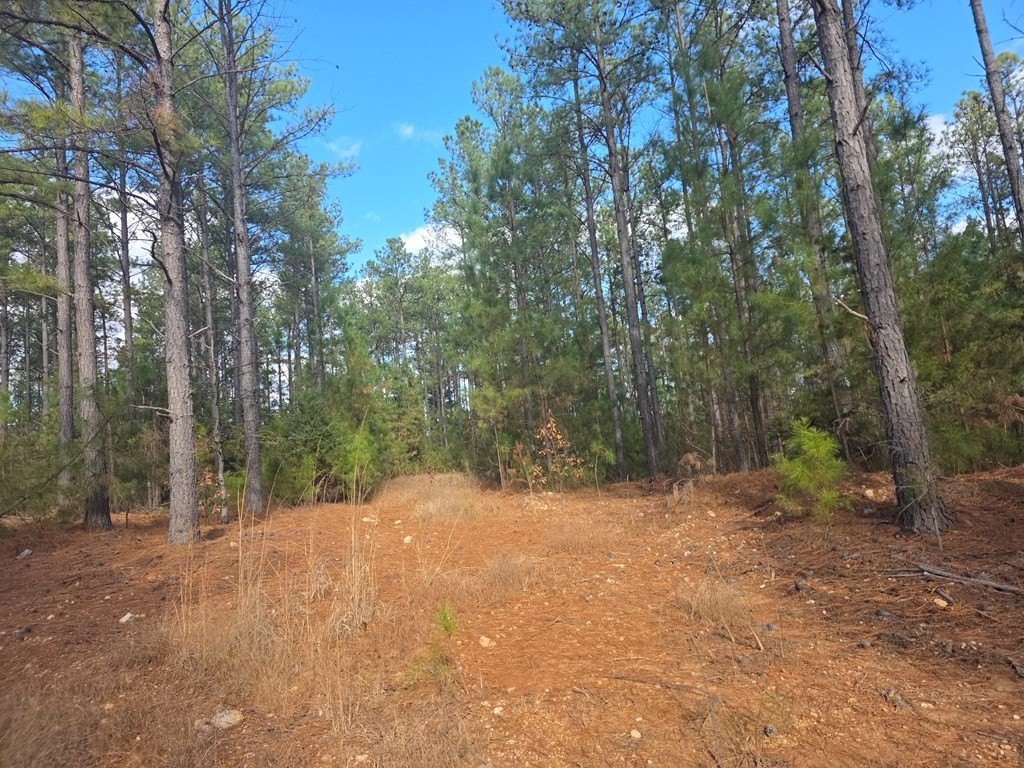 Picture 6
