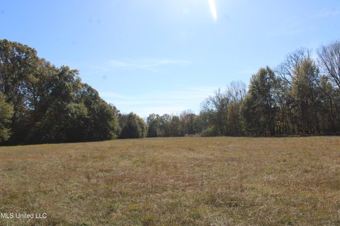 Olive Branch Acreage For Sale