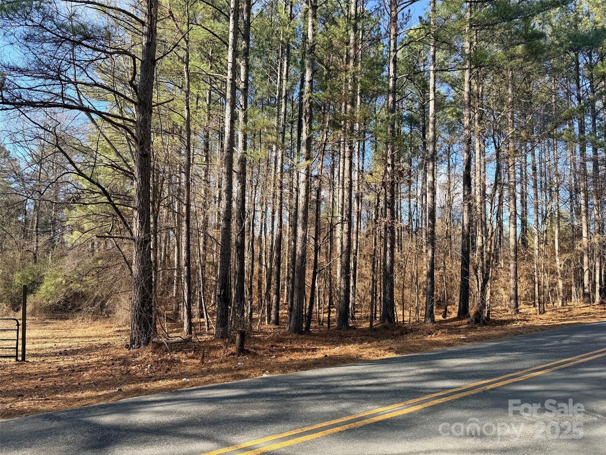 Land For Sale, Forest City