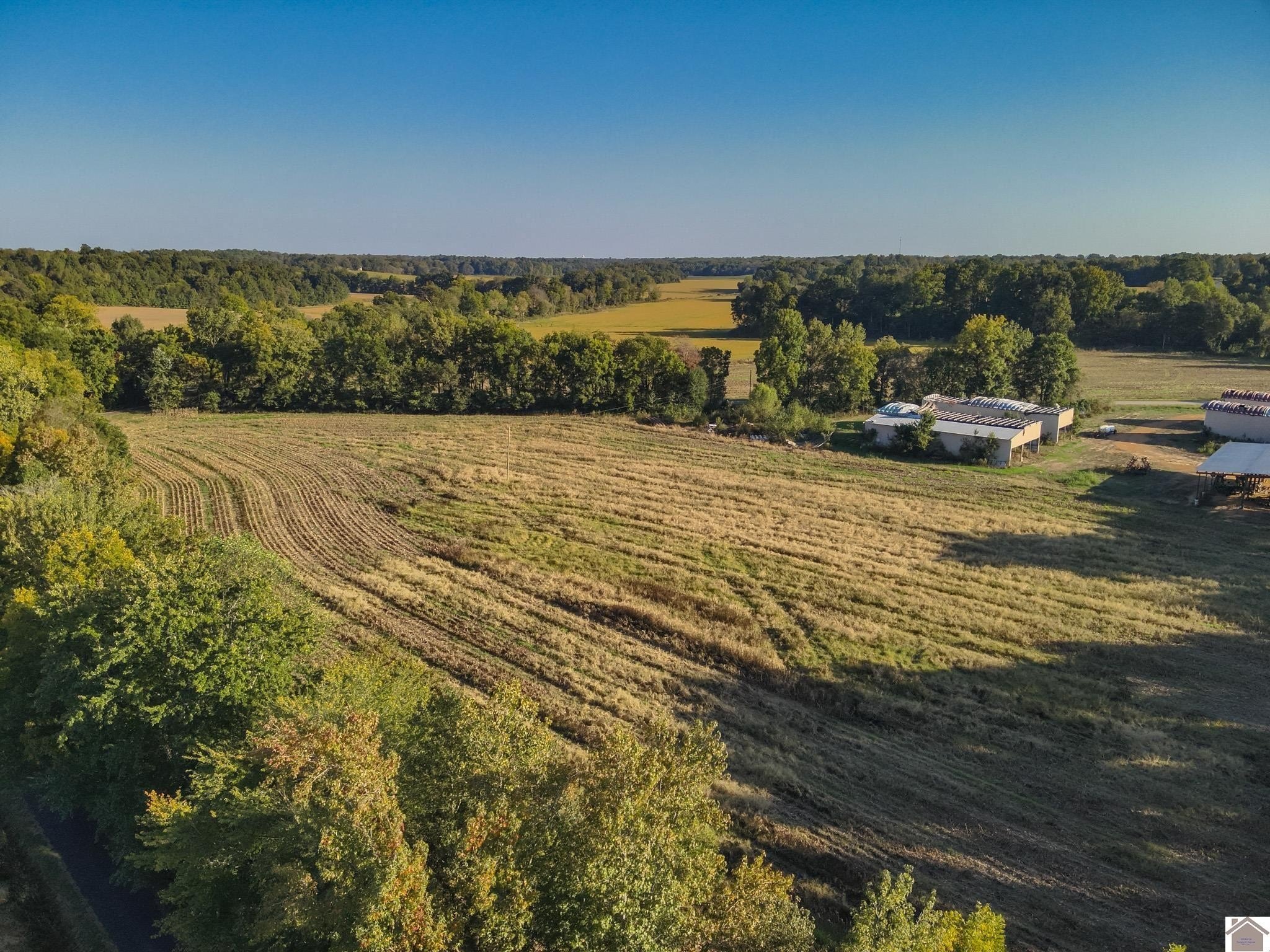 Graves County Farmland Opportunity