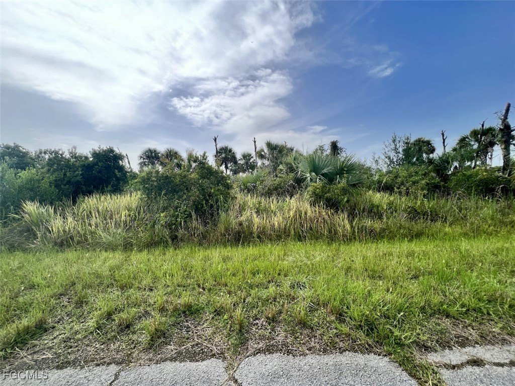 Residential Lot in North Port