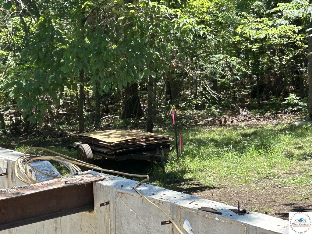 Picture 6