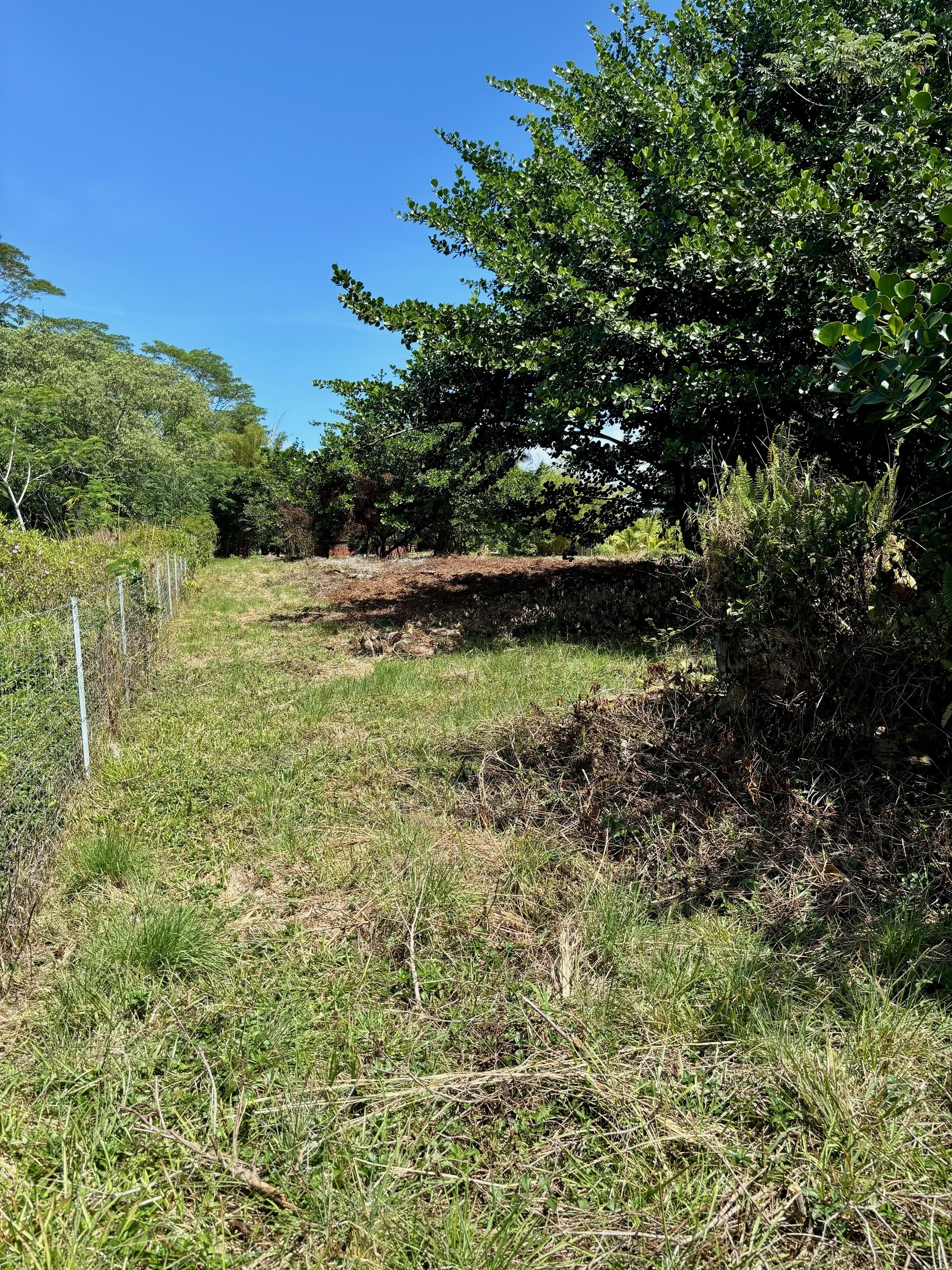 Two-Acre Land Parcel in Keaau
