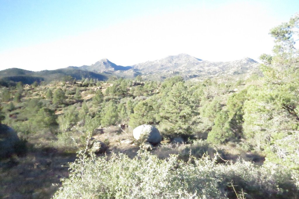 Picture 11