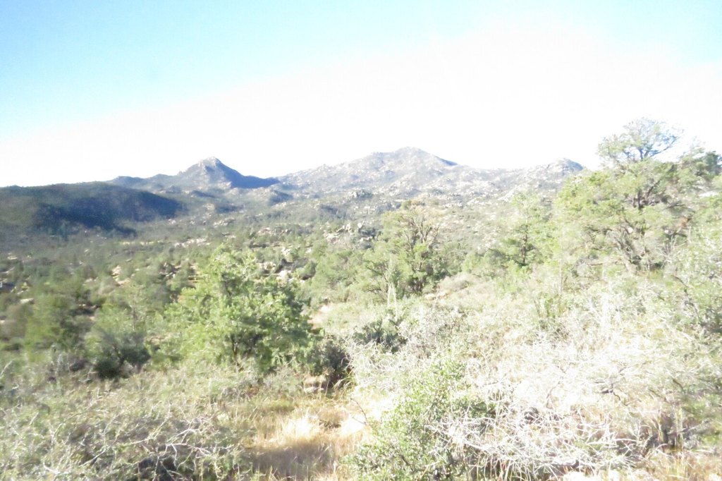 Picture 14