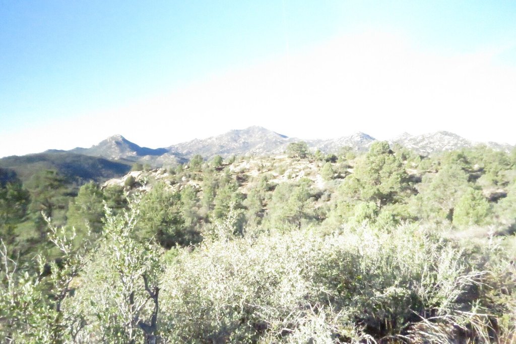 Picture 6