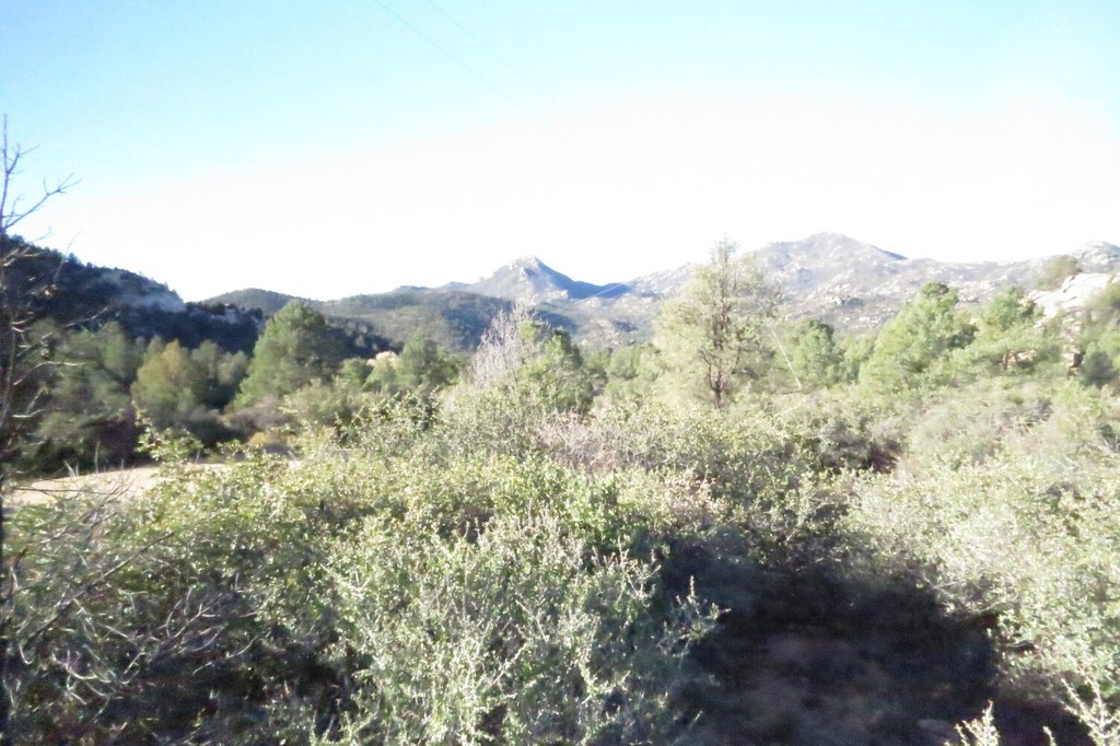 Picture 4