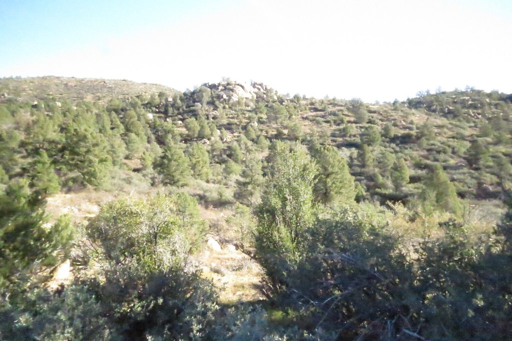 Picture 18
