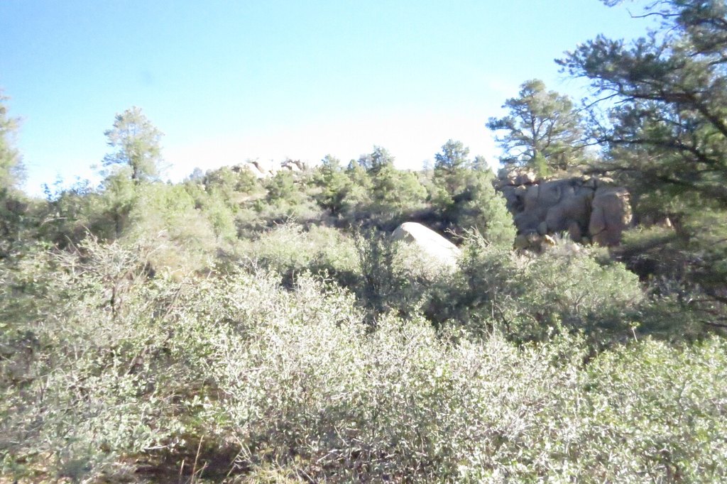 Picture 29