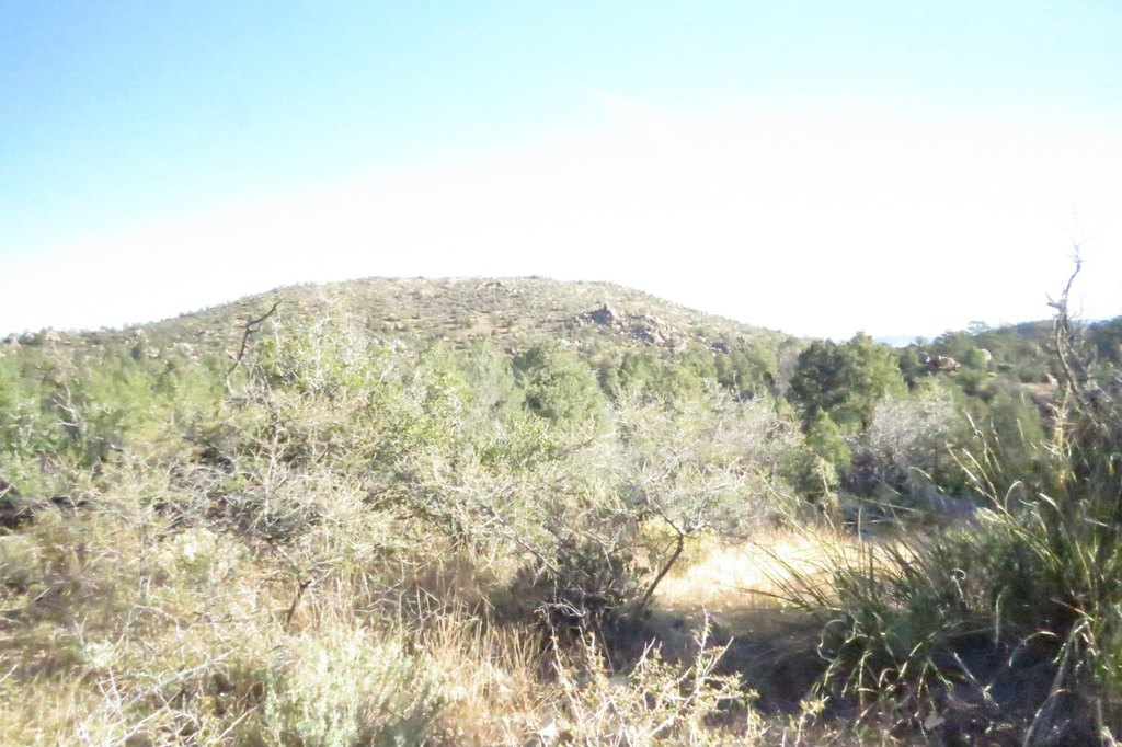 Picture 22