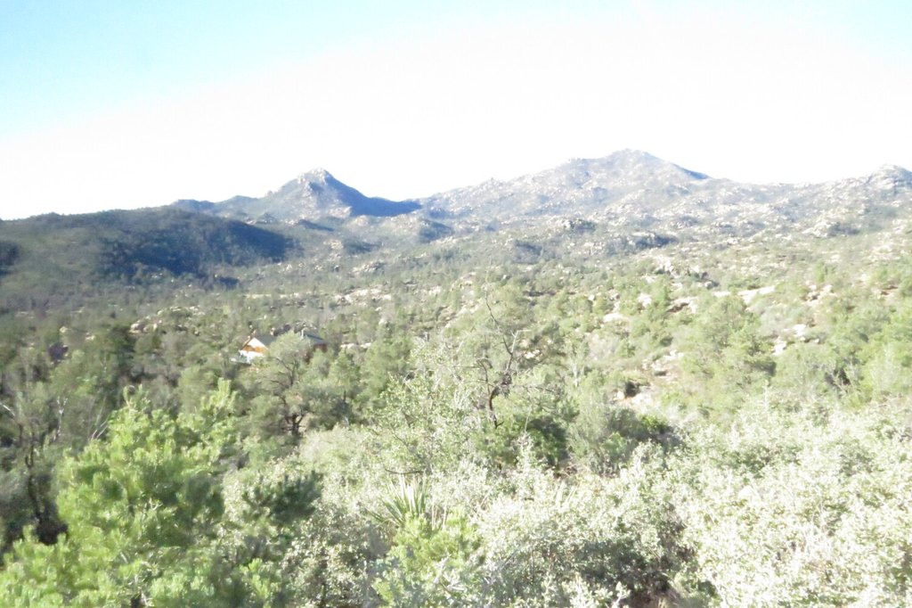 Picture 24