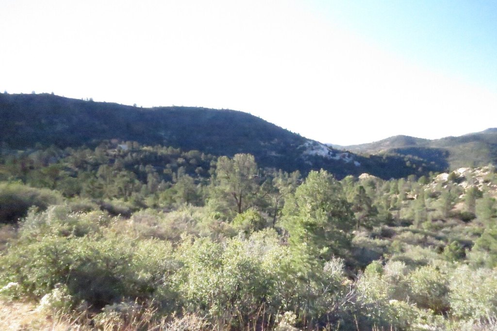 Picture 7