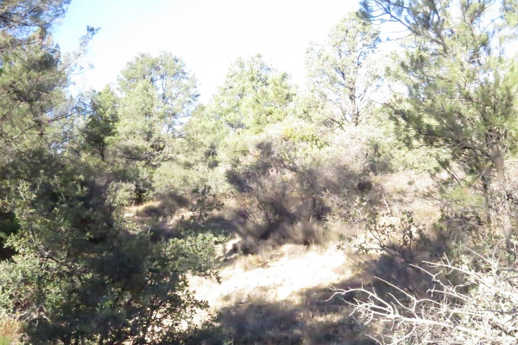 Picture 13