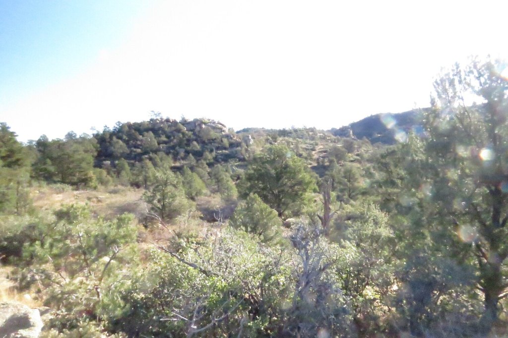 Picture 16