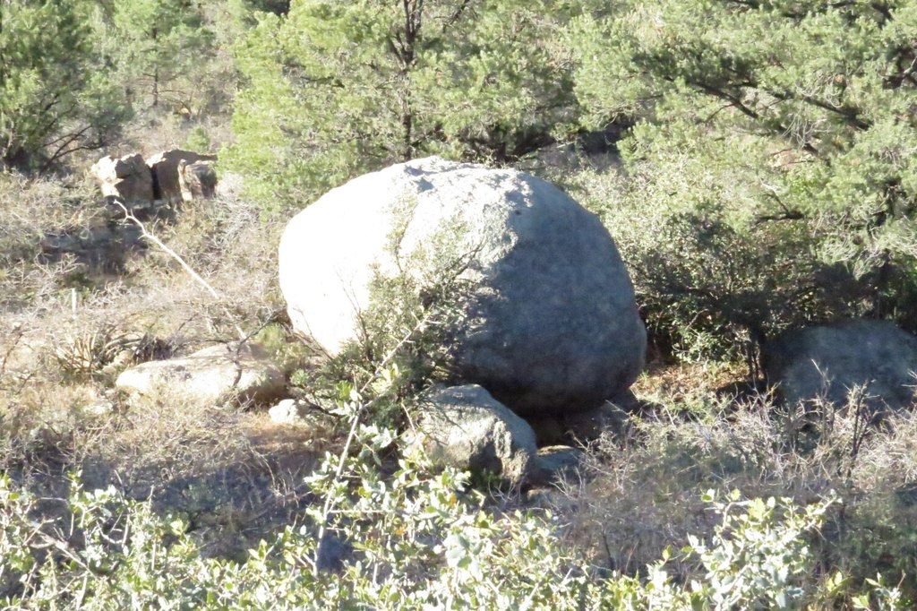 Picture 10