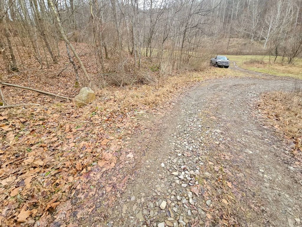 Picture 5