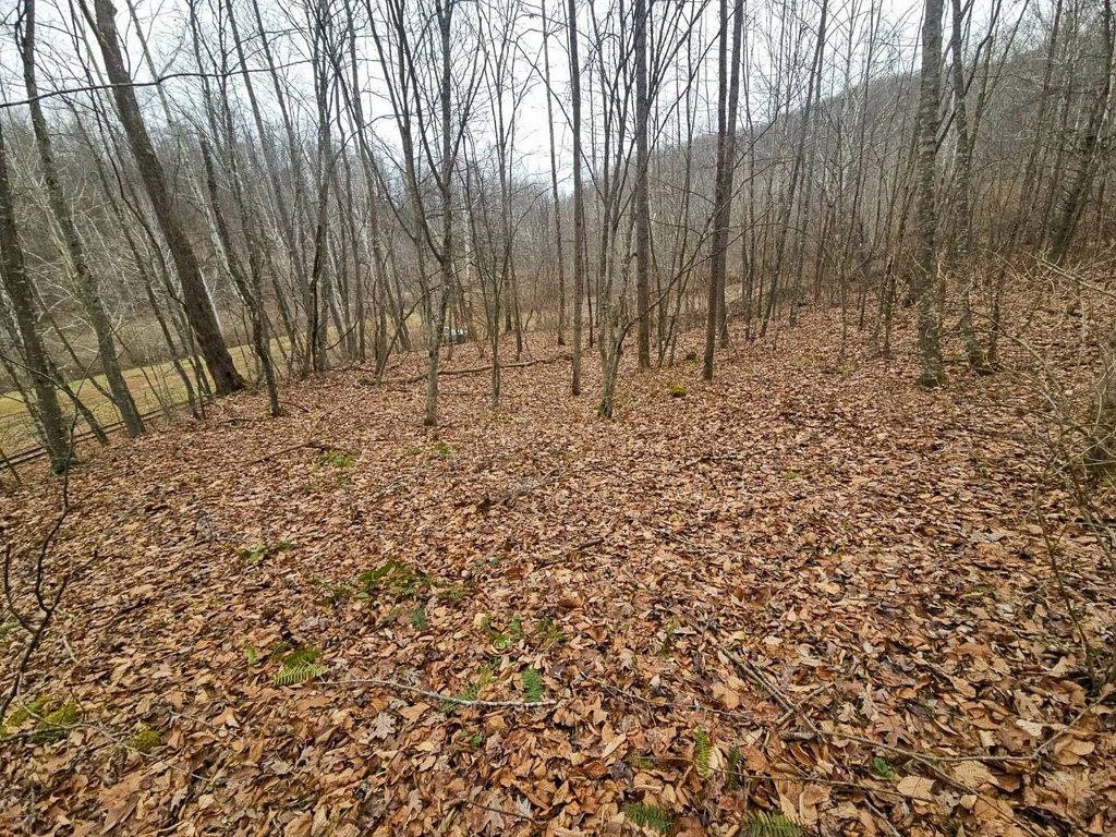 Picture 2
