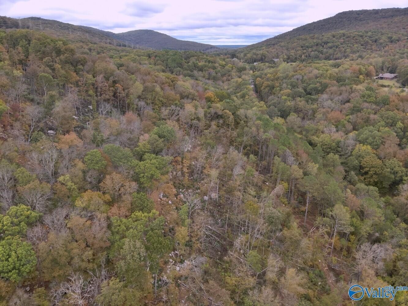 32 Acres in Brownsboro, AL