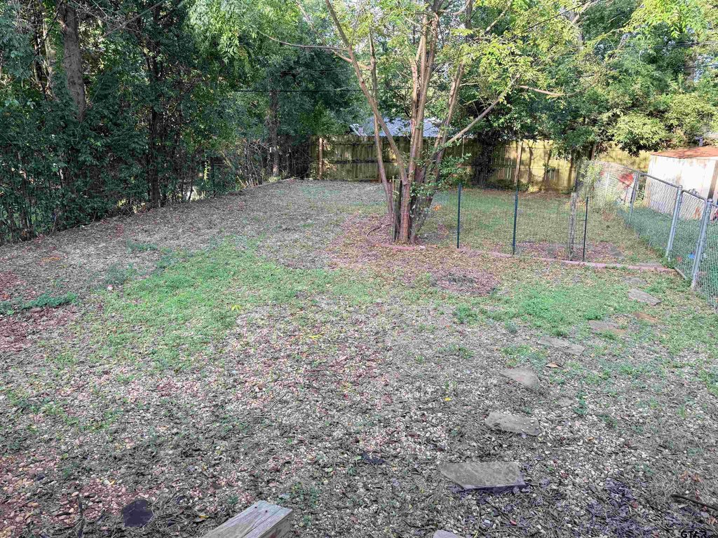 Picture 19