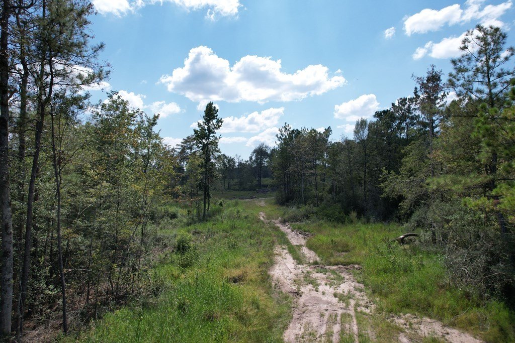 Picture 16