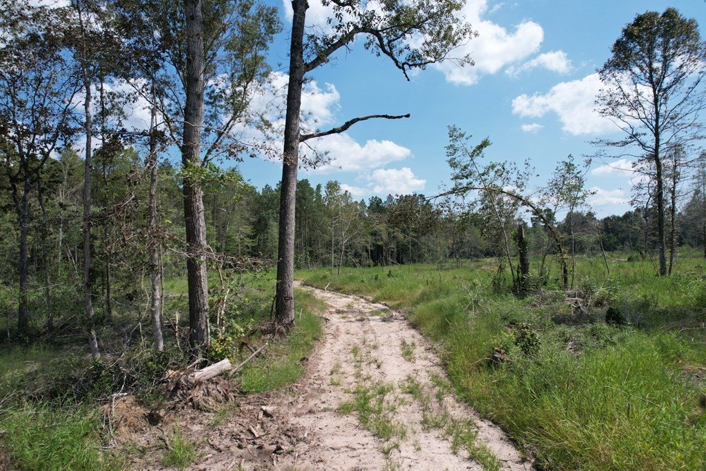 Picture 19