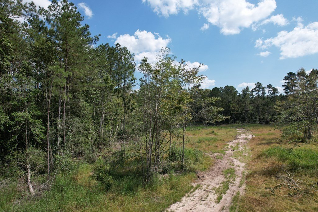 Picture 20