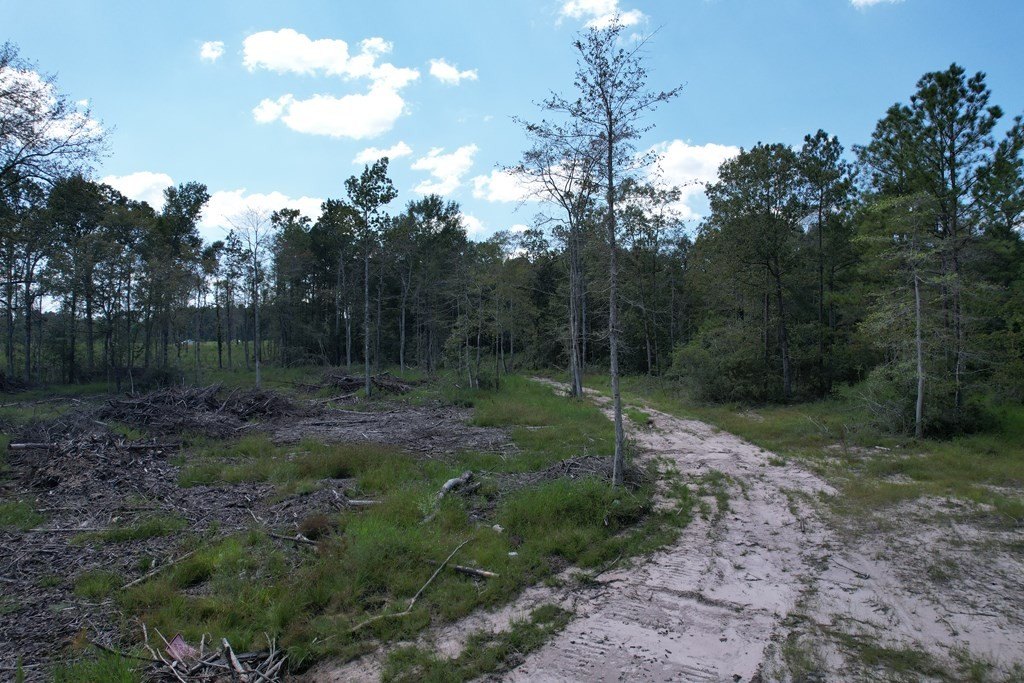 Picture 17