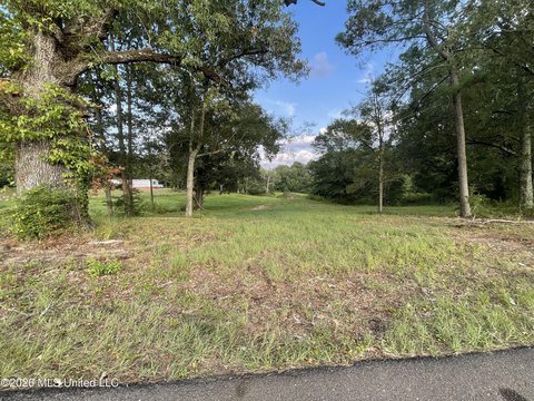 LAND - Wesson, MS