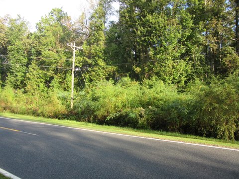 Land, Whiteville, NC